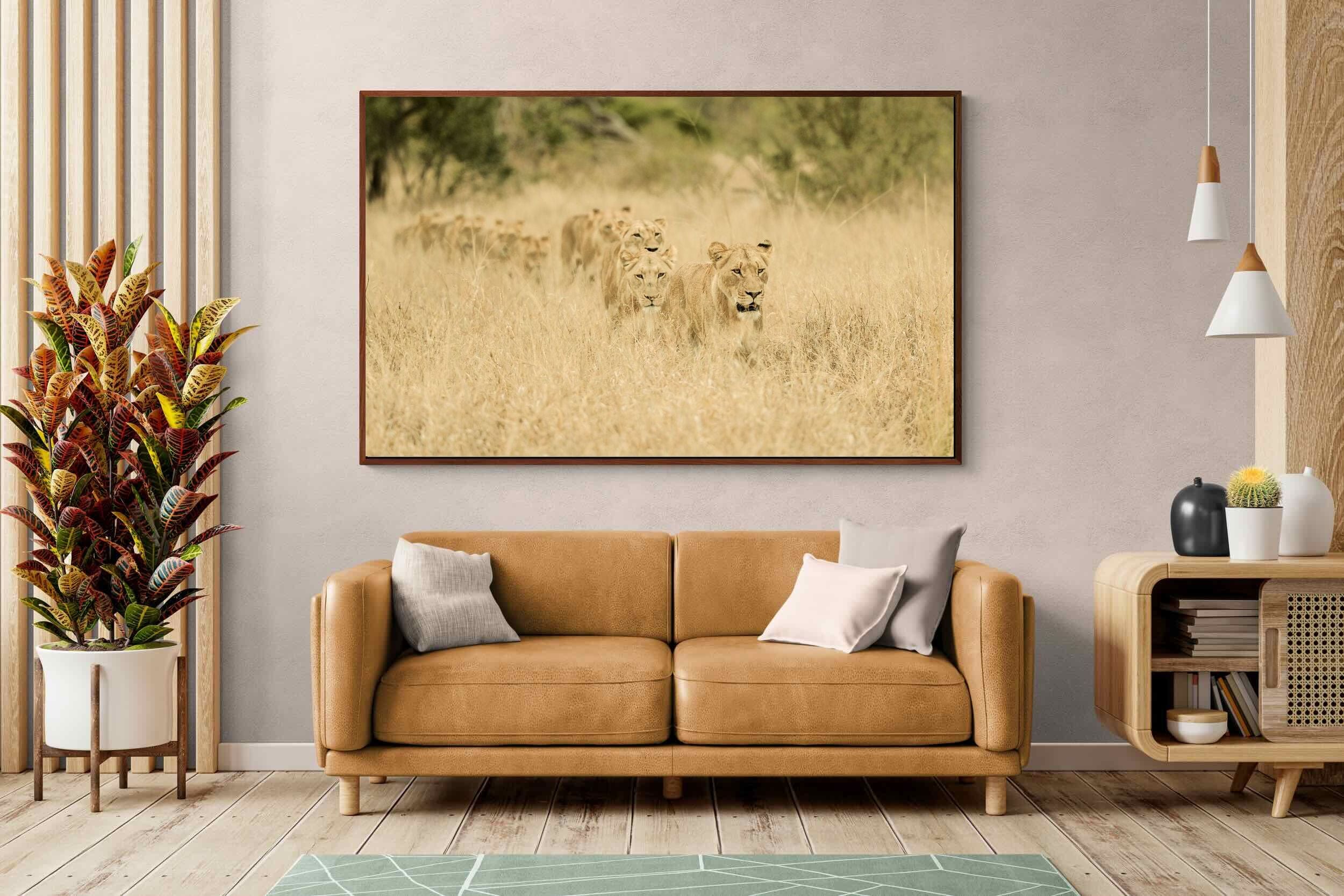 Pixalot ® Lionesses in Formation