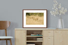 Pixalot ® Lionesses in Formation