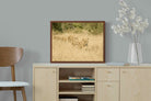 Pixalot ® Lionesses in Formation