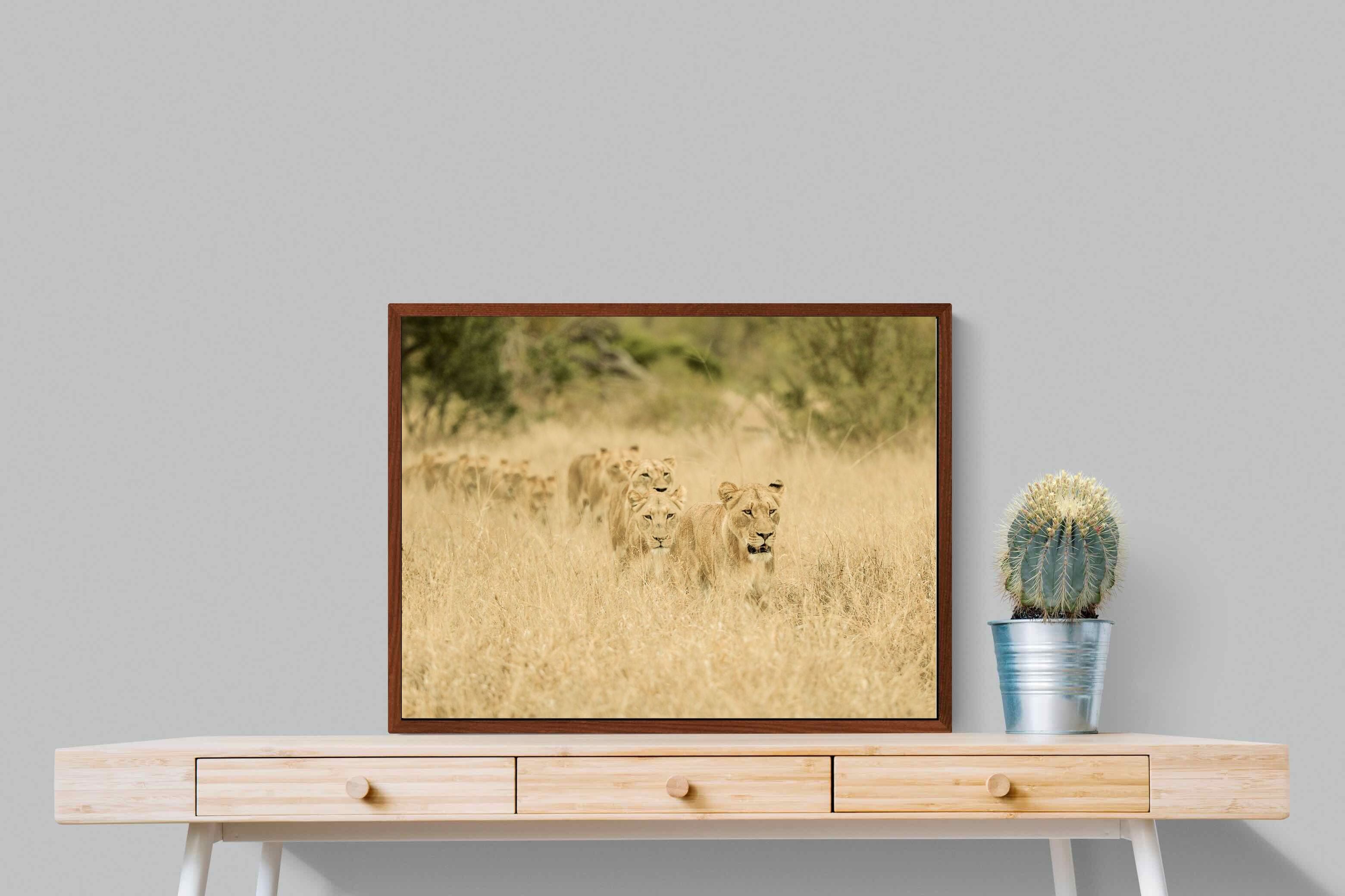 Pixalot ® Lionesses in Formation