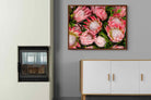 Pixalot ® Lush Proteas