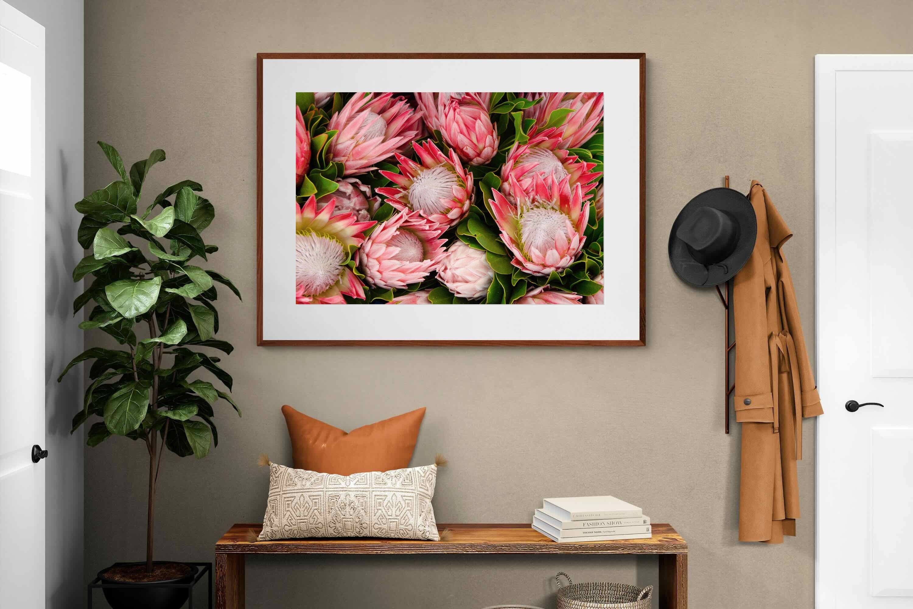 Pixalot ® Lush Proteas
