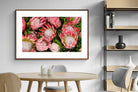Pixalot ® Lush Proteas