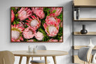 Pixalot ® Lush Proteas