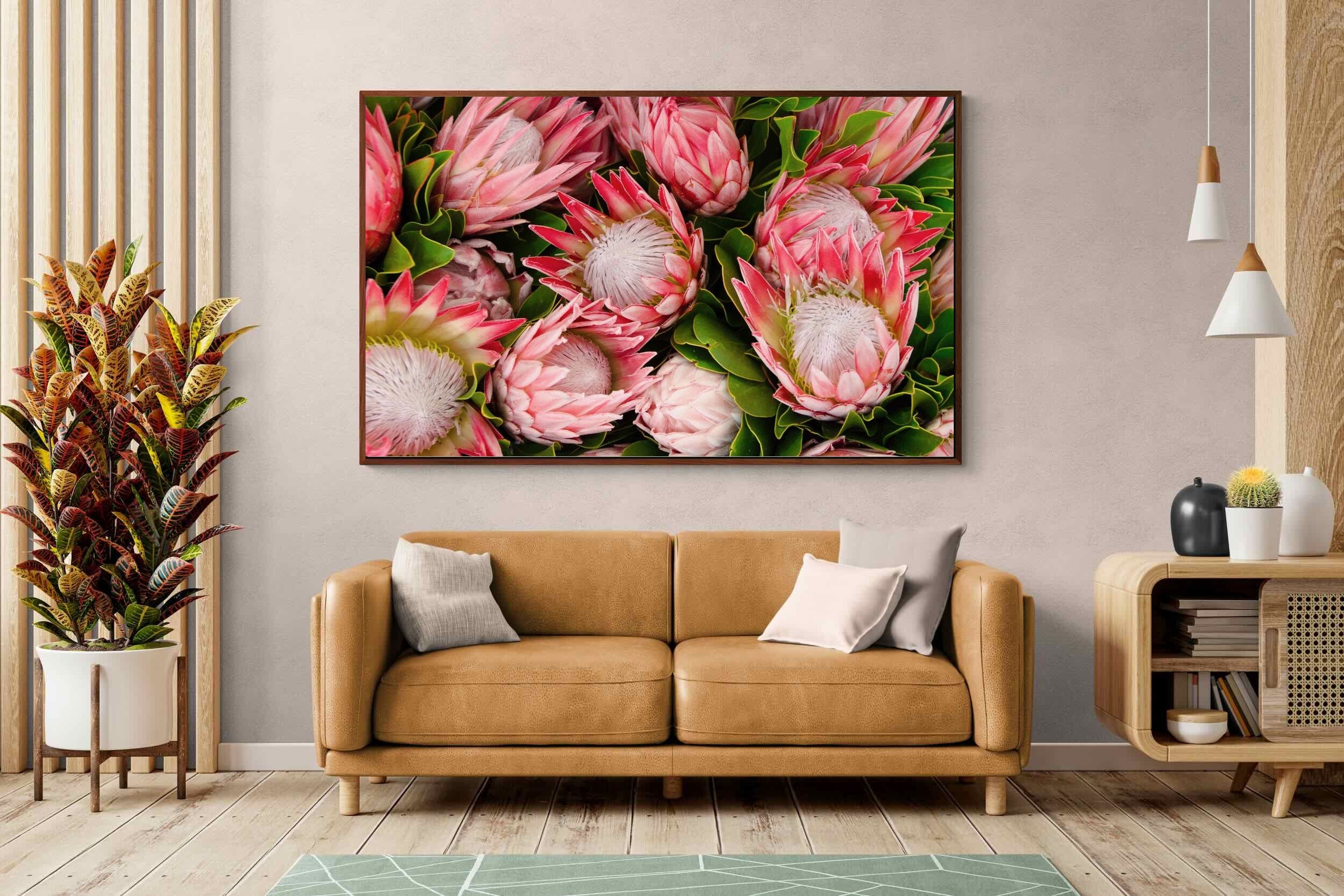 Pixalot ® Lush Proteas
