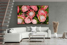 Pixalot ® Lush Proteas