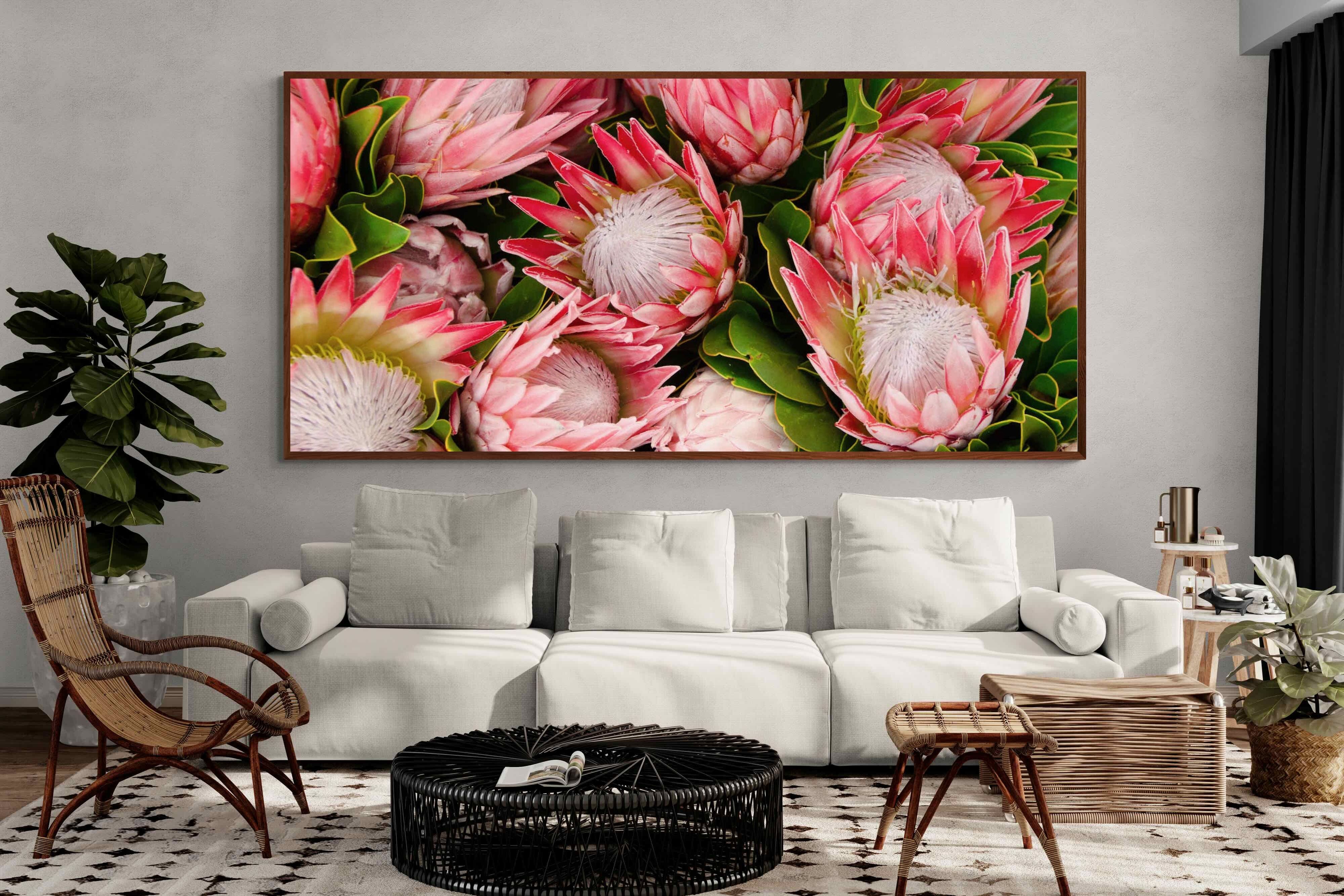 Pixalot ® Lush Proteas
