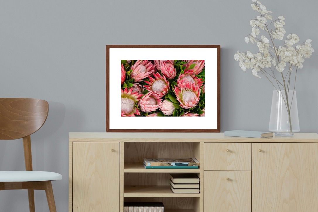 Pixalot ® Lush Proteas