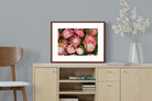 Pixalot ® Lush Proteas