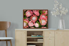 Pixalot ® Lush Proteas