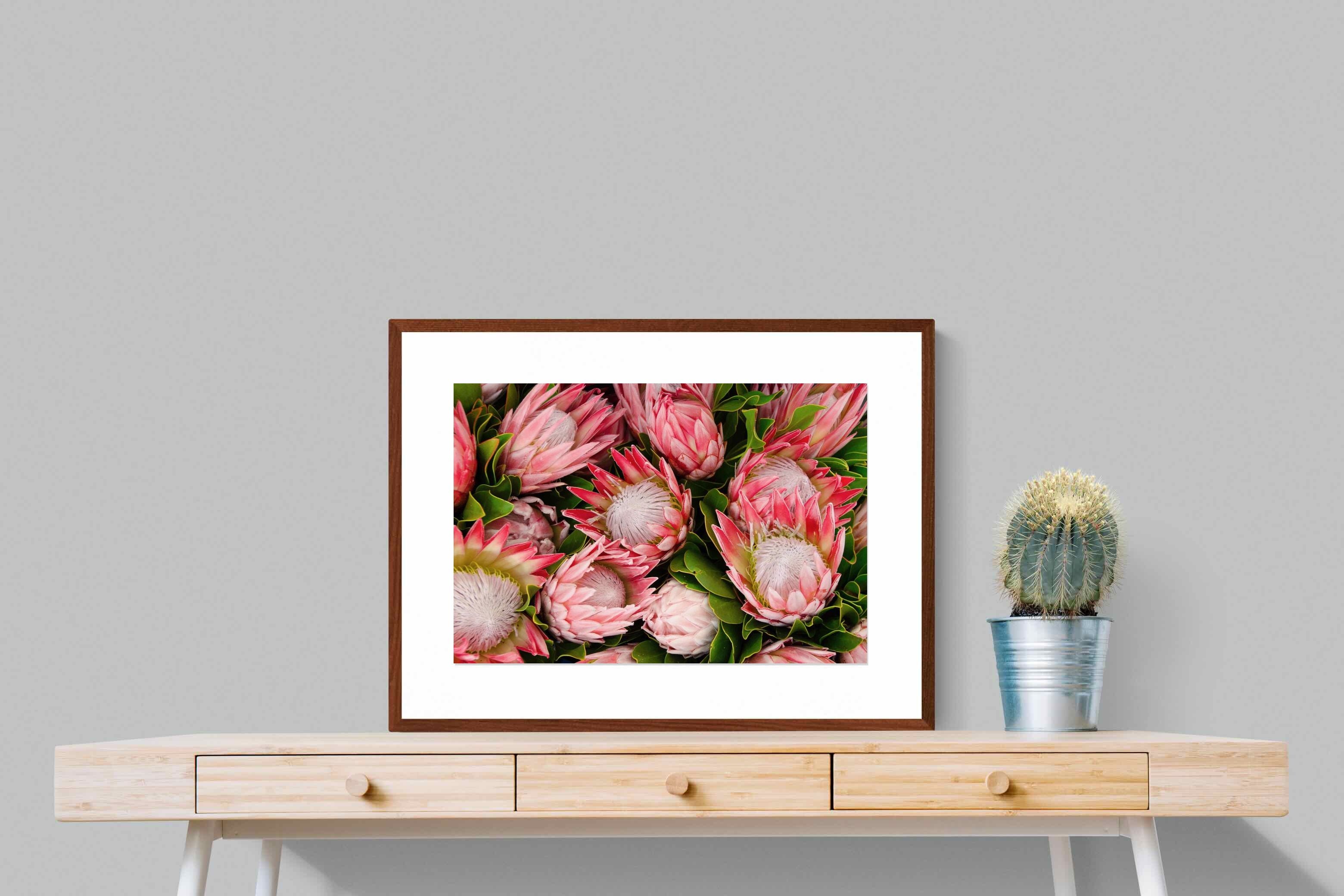Pixalot ® Lush Proteas