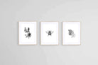 Magnolia Set-Wall_Art-60 x 80cm (x3)-Framed Print-Wood-Pixalot