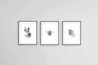 Magnolia Set-Wall_Art-60 x 80cm (x3)-Framed Print-Black-Pixalot