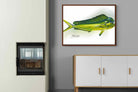 Pixalot ® Mahi Mahi