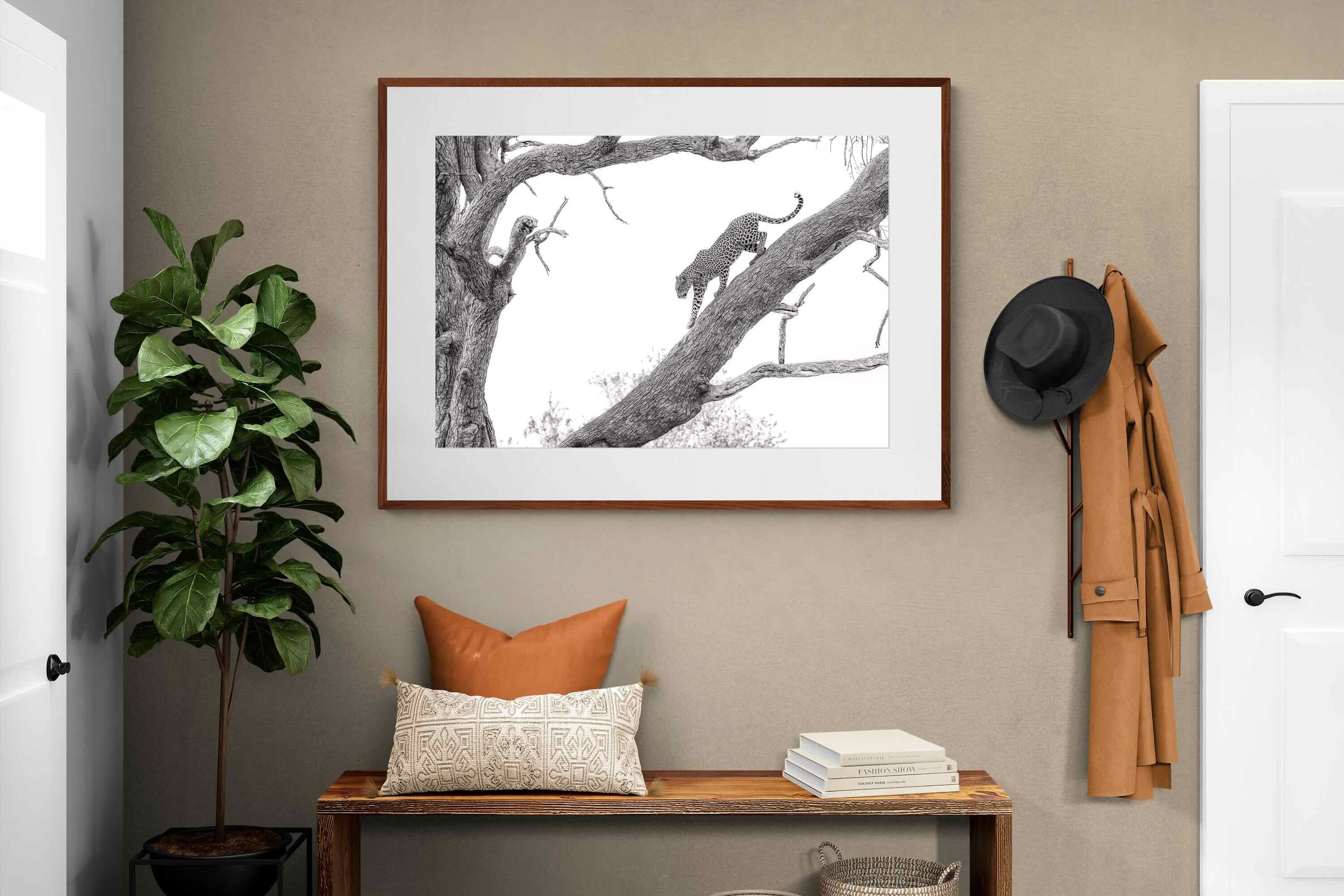 Pixalot ® Majestic Climber