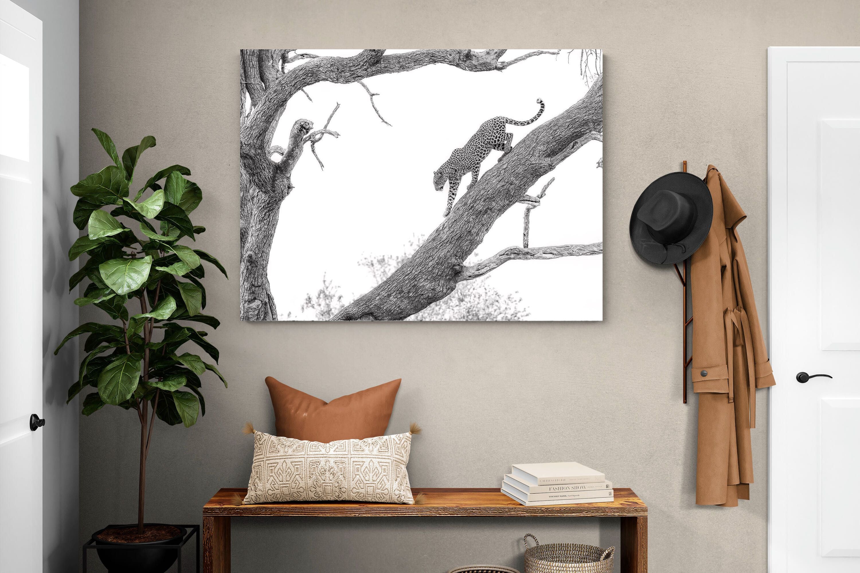 Pixalot Majestic Climber