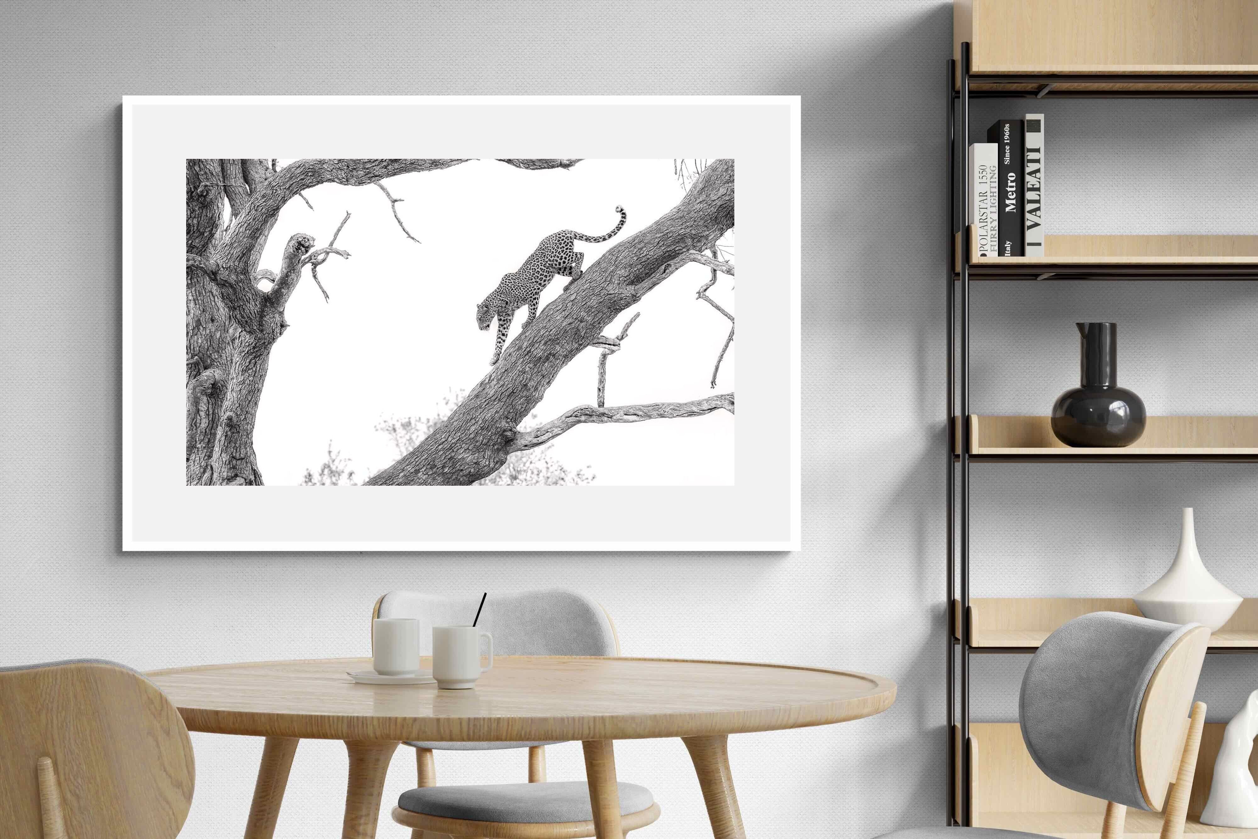 Pixalot Majestic Climber