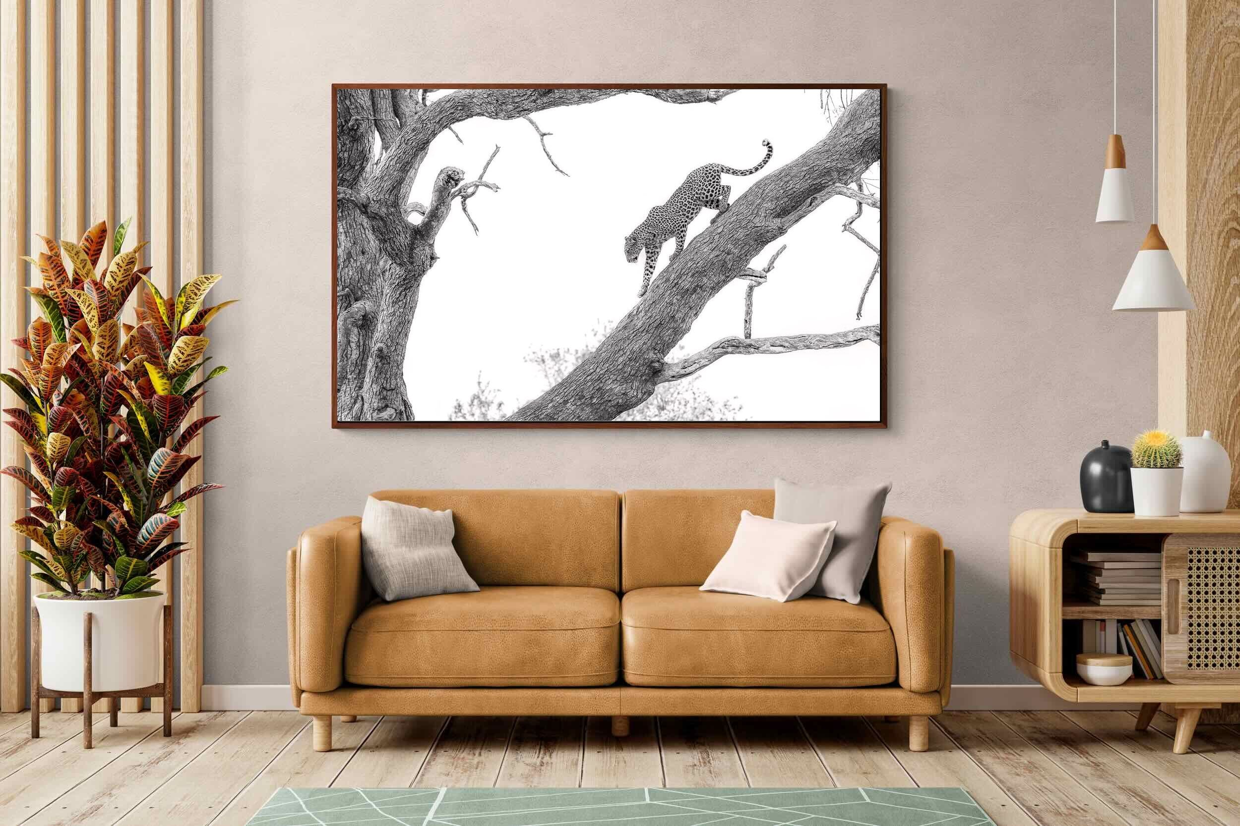 Pixalot ® Majestic Climber