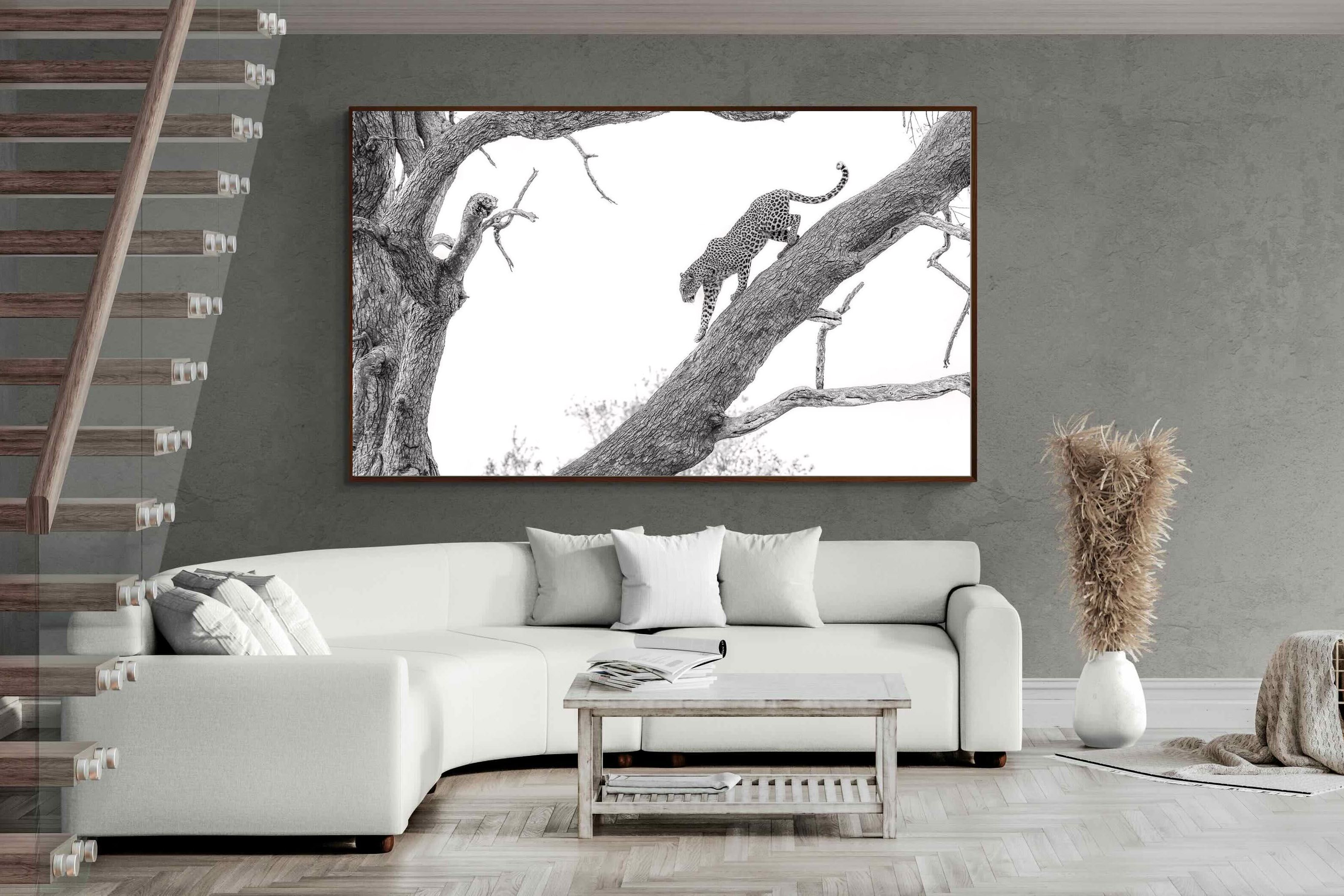 Pixalot ® Majestic Climber