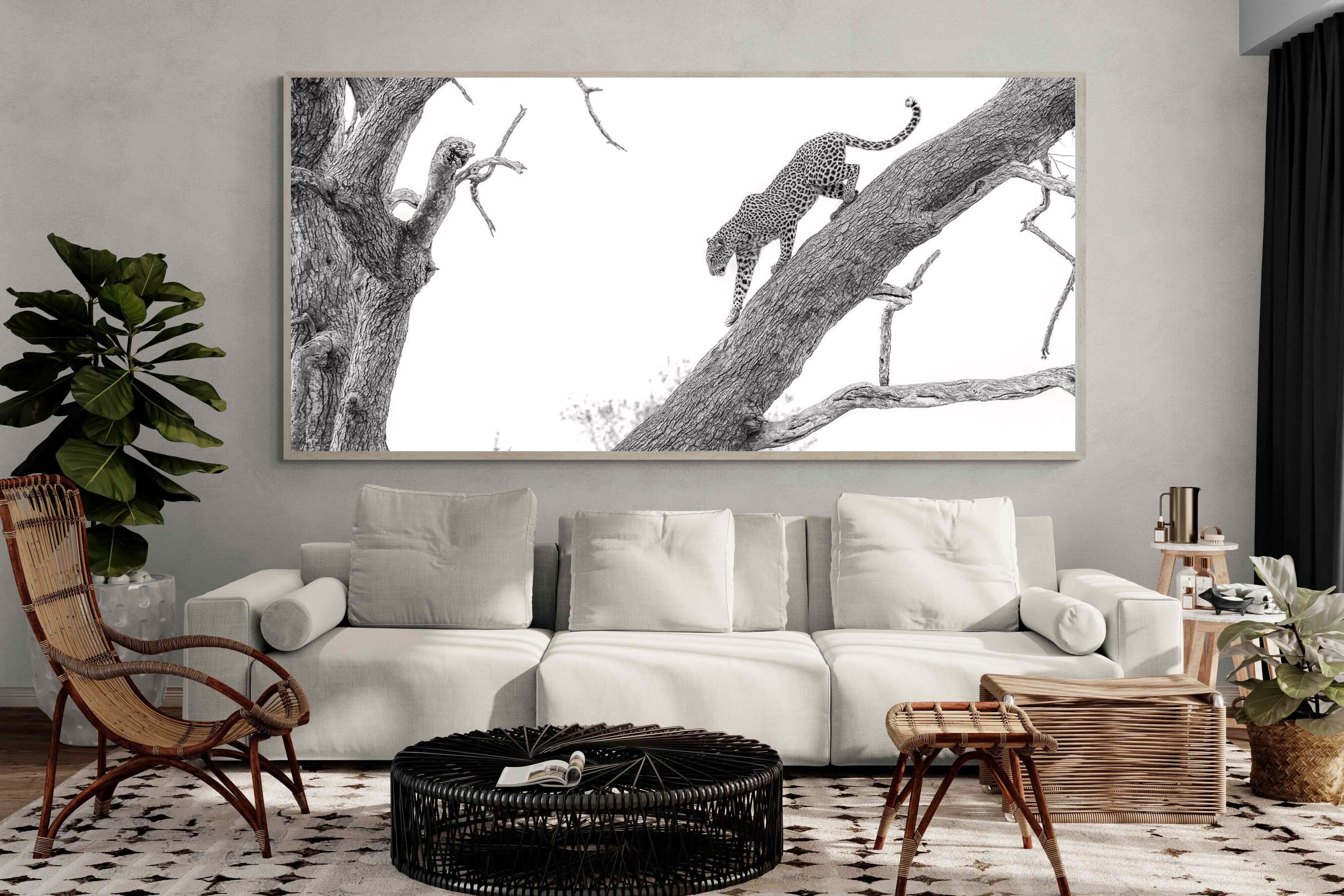 Pixalot Majestic Climber