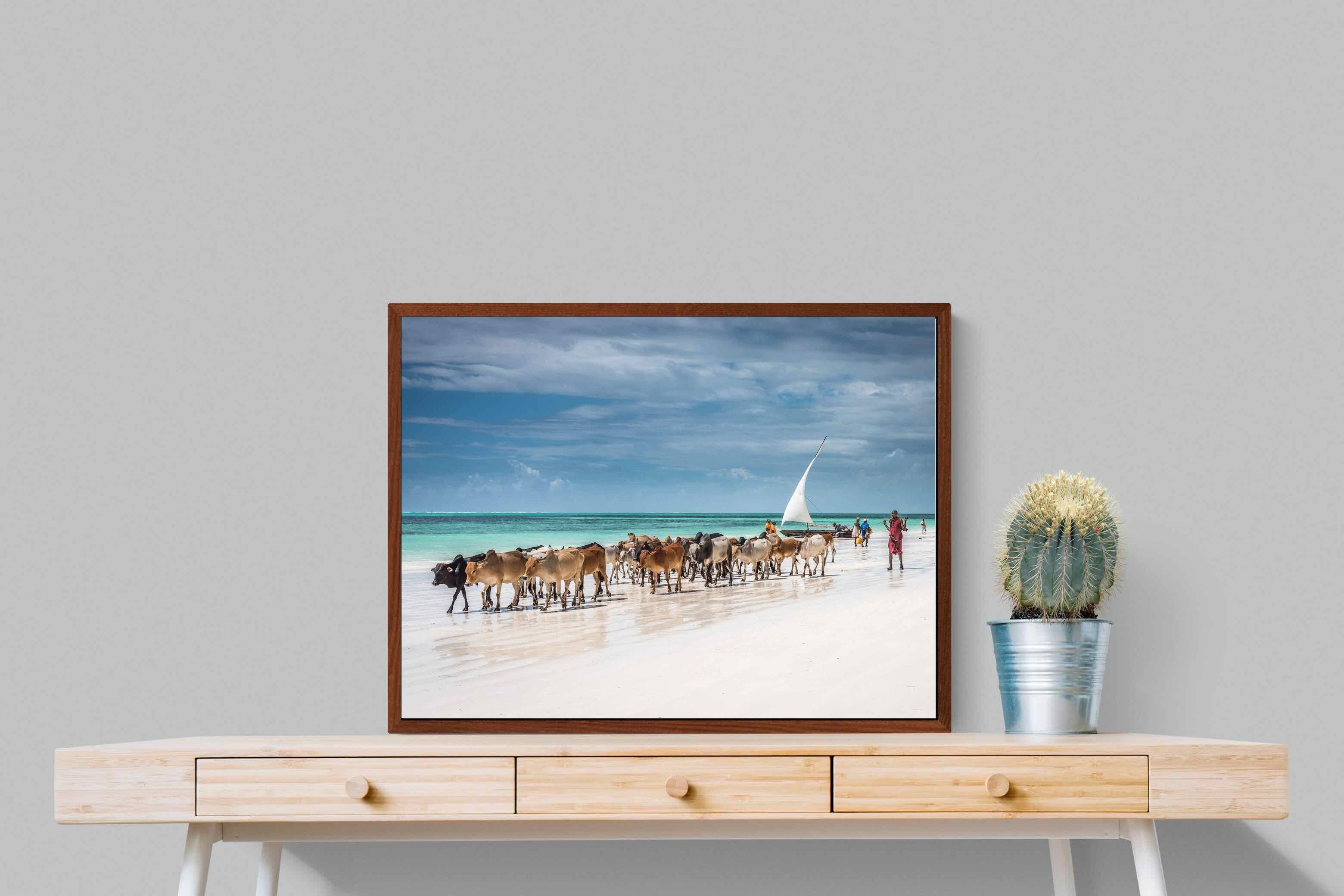 Pixalot ® Masai Cattle