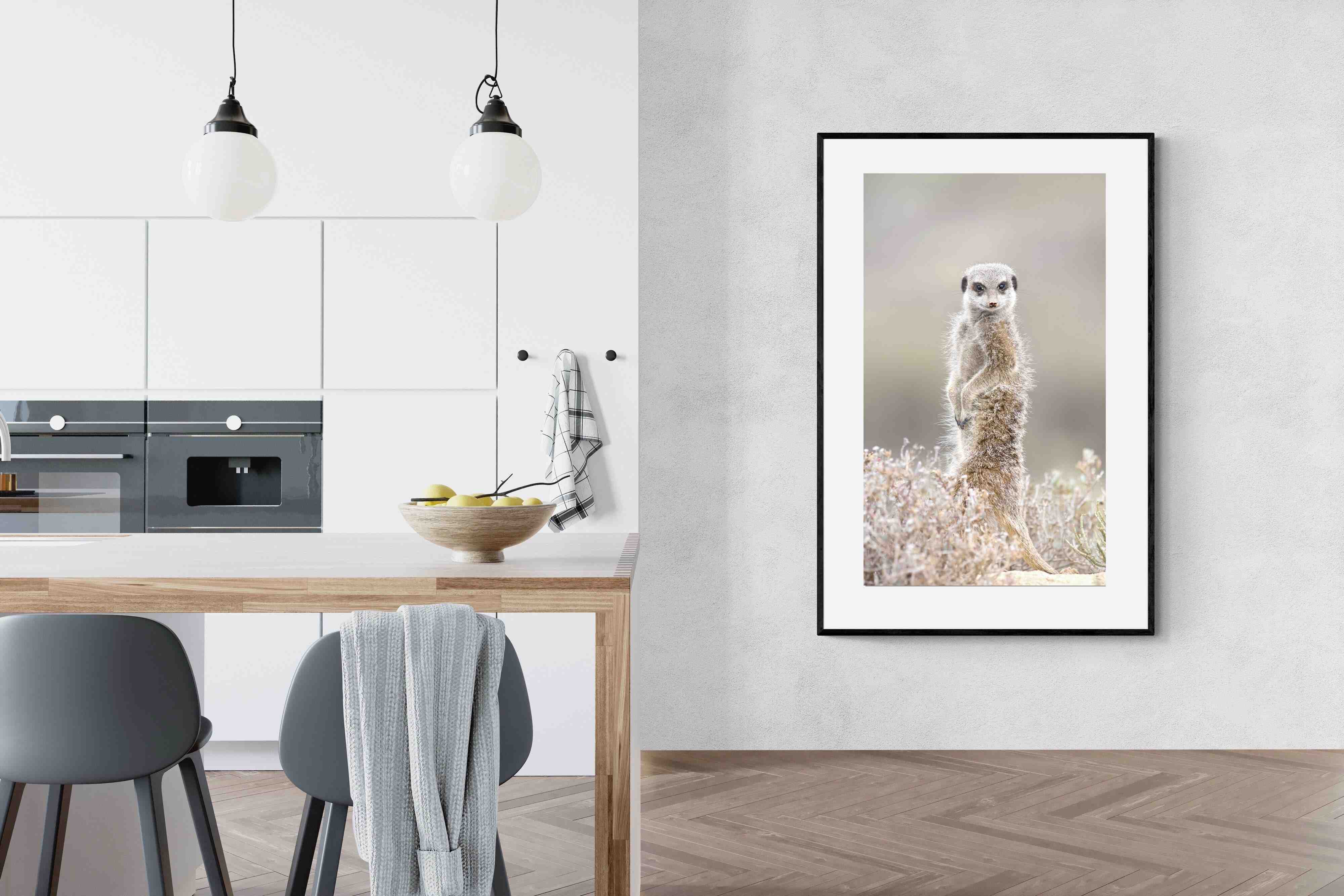 Pixalot Meerkat