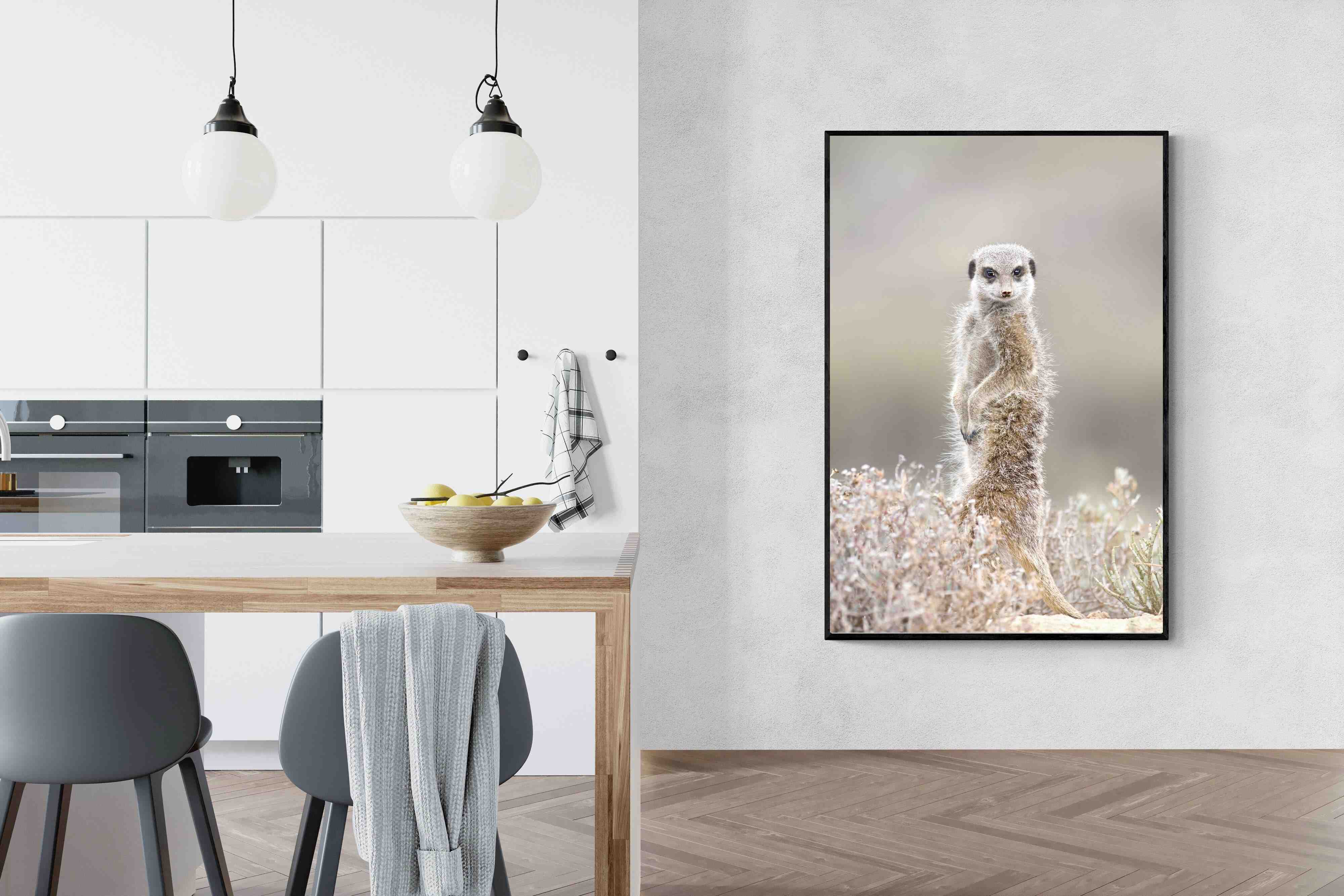Pixalot Meerkat