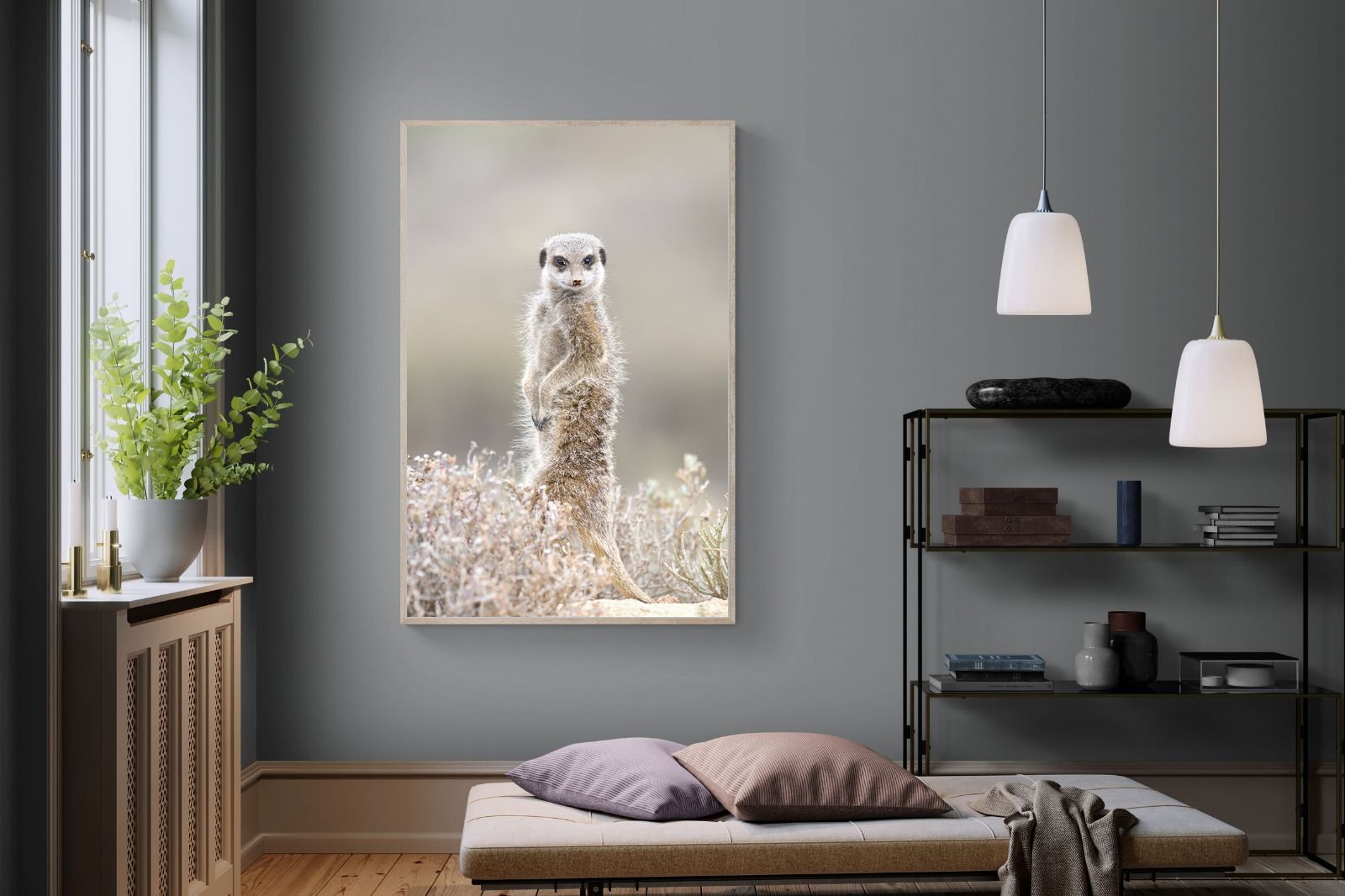 Pixalot Meerkat