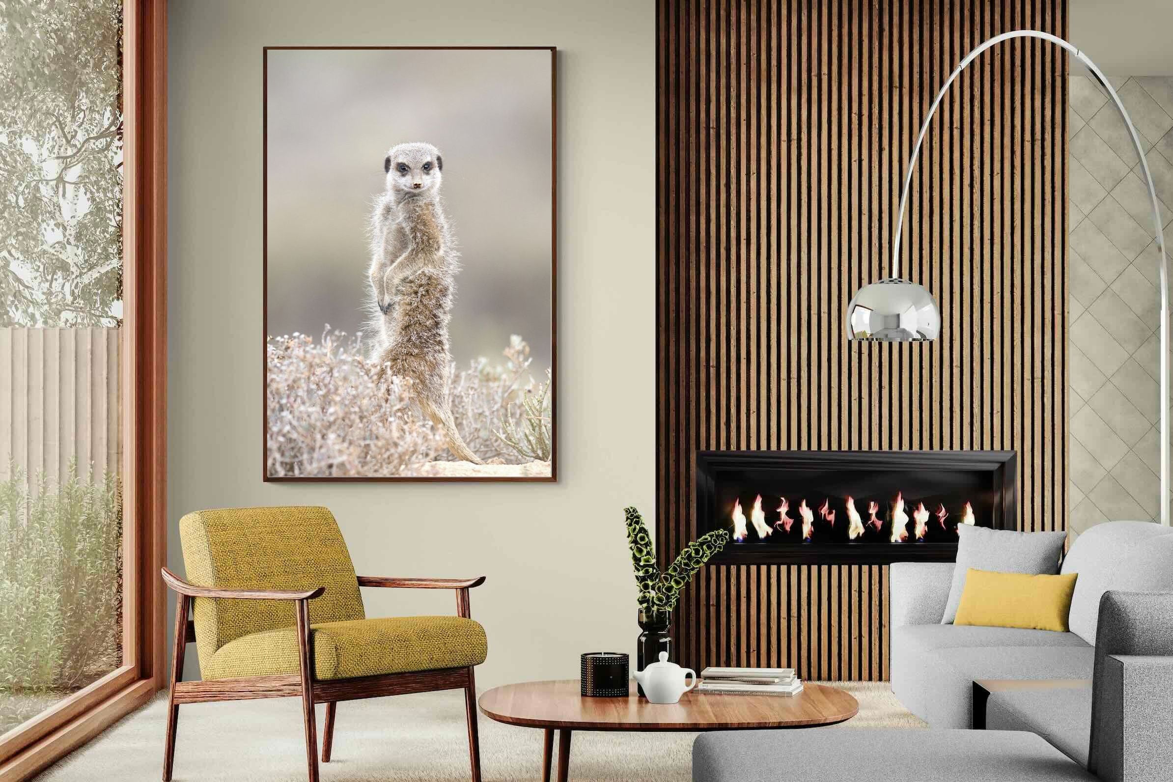 Pixalot Meerkat