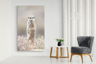 Pixalot Meerkat