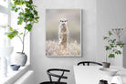 Pixalot Meerkat