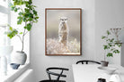 Pixalot Meerkat