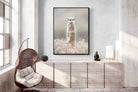Pixalot Meerkat