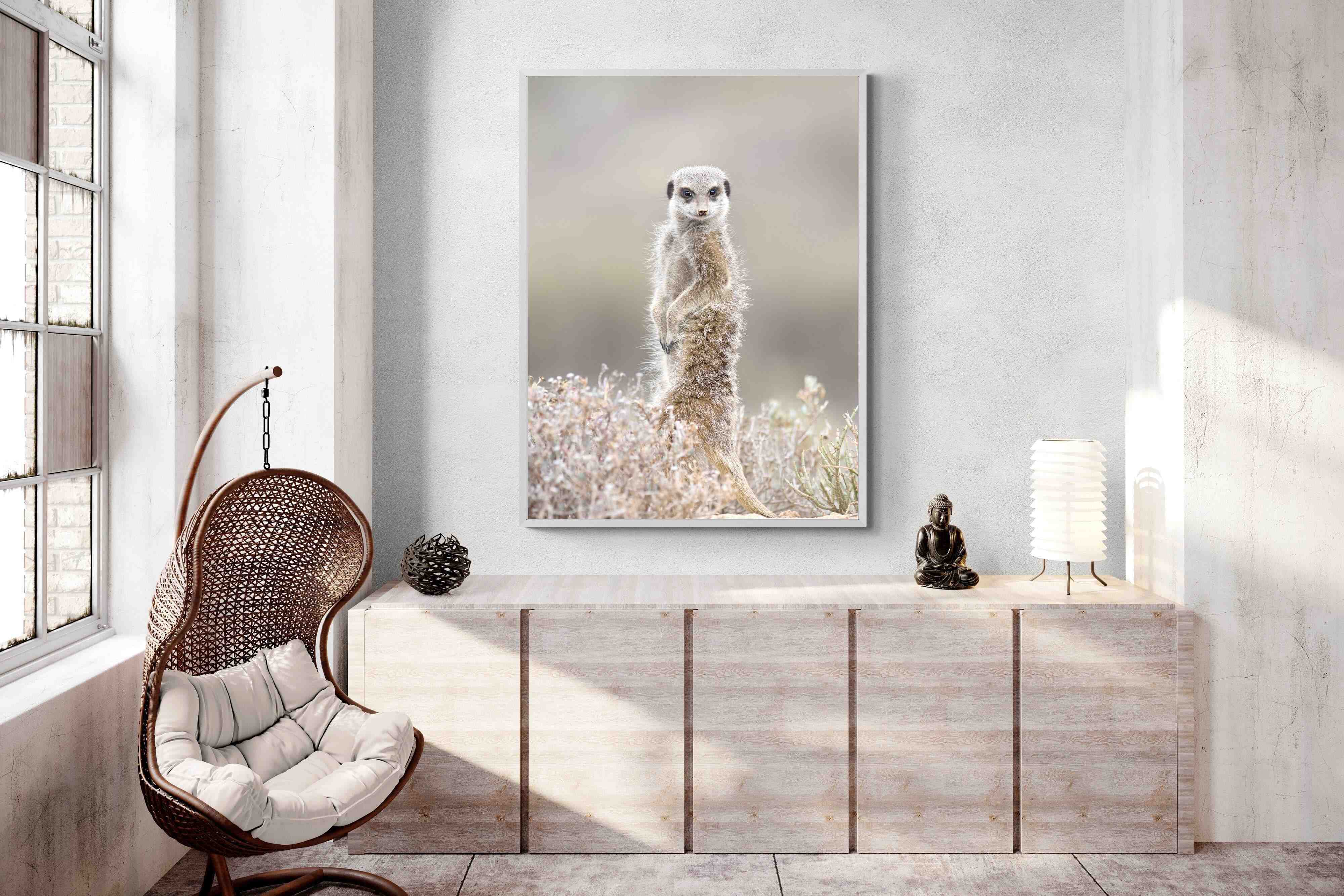 Pixalot Meerkat