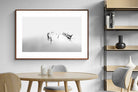 Pixalot ® Misty Memory