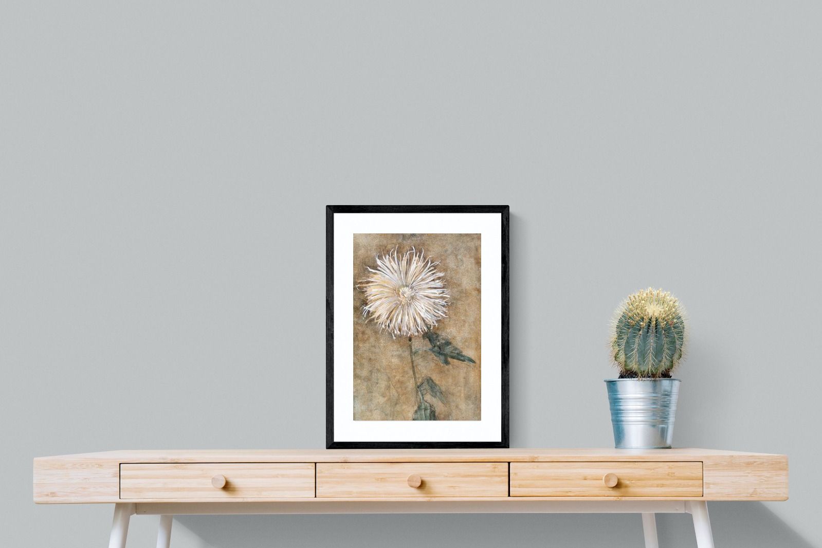 Pixalot Mondrian Chrysanthemum