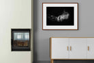 Pixalot ® Monochromatic Jellyfish