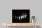 Pixalot ® Monochromatic Jellyfish