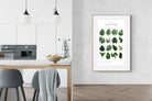 Pixalot Monstera Illustration Collection