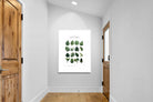 Pixalot Monstera Illustration Collection