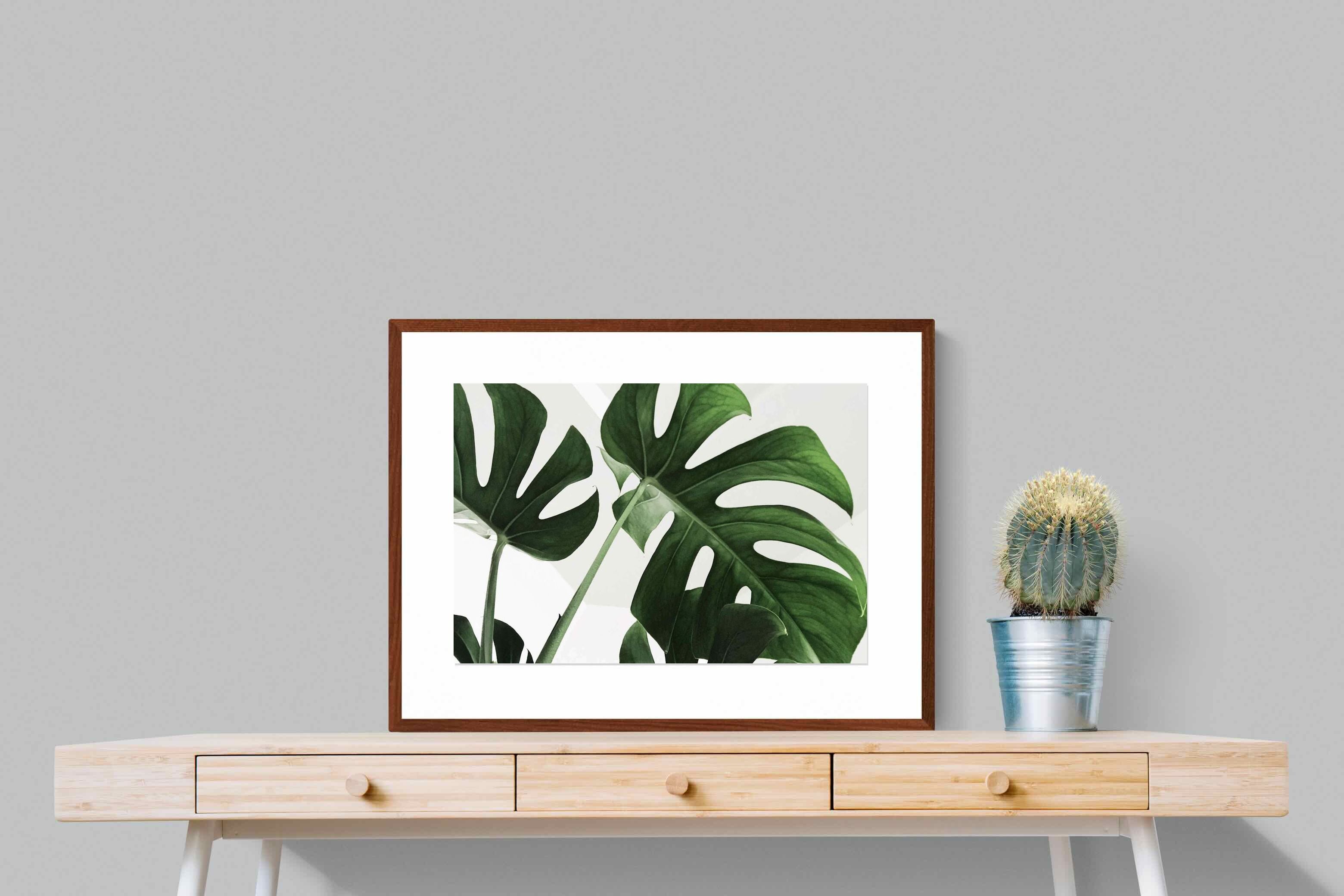 Pixalot ® Monstera