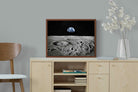 Pixalot ® Moon Landing