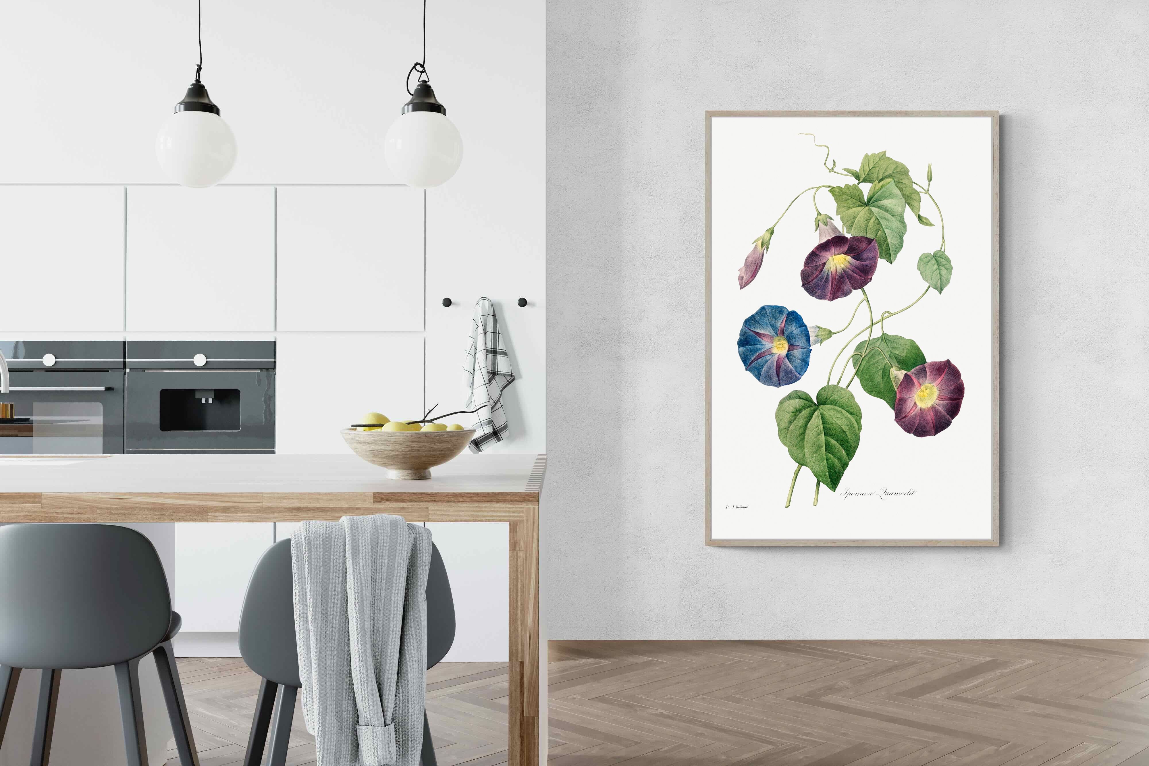 Pixalot Morning Glory Study