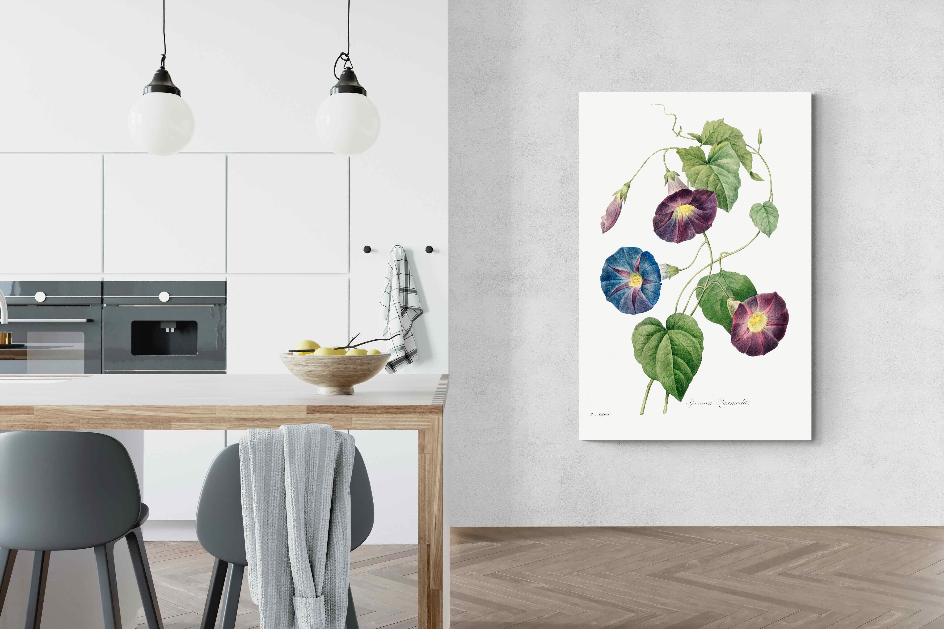 Pixalot Morning Glory Study