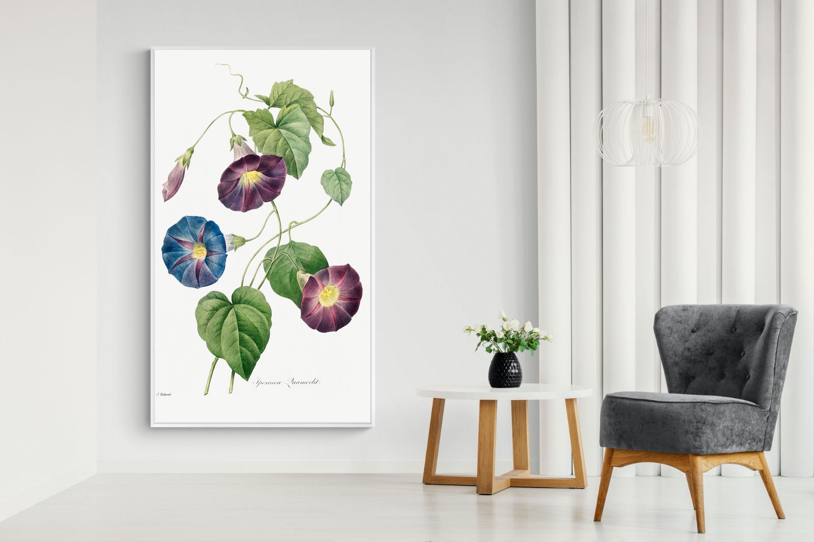 Pixalot Morning Glory Study