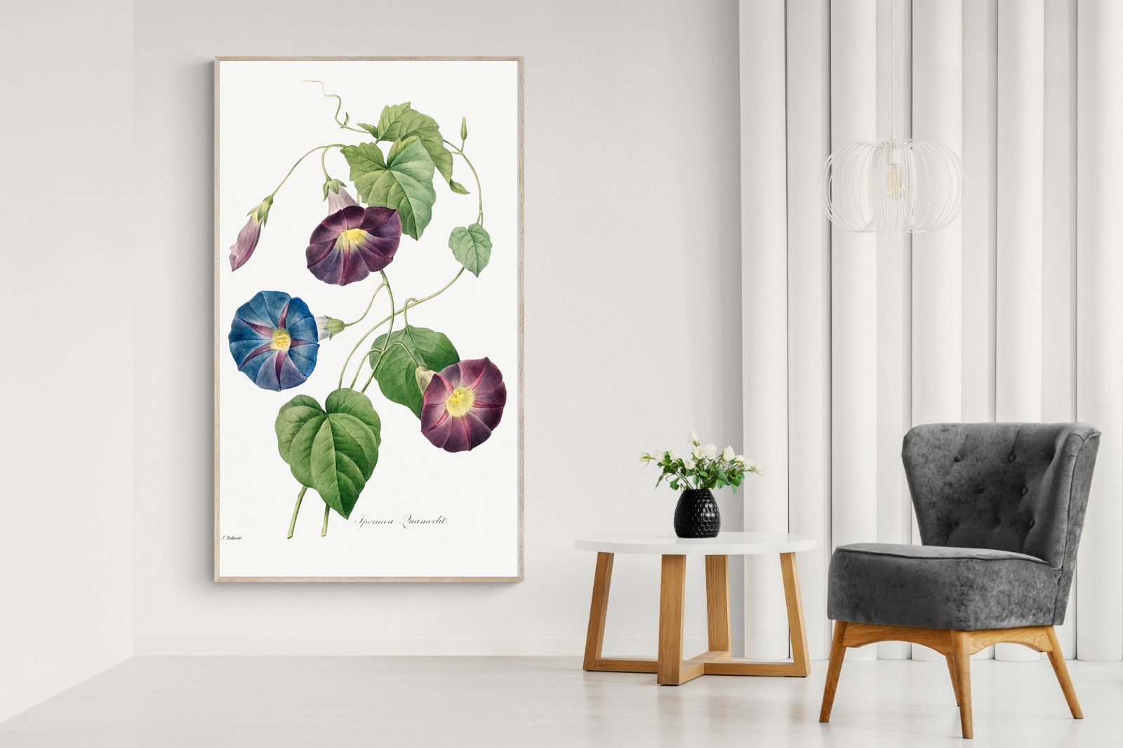 Pixalot Morning Glory Study