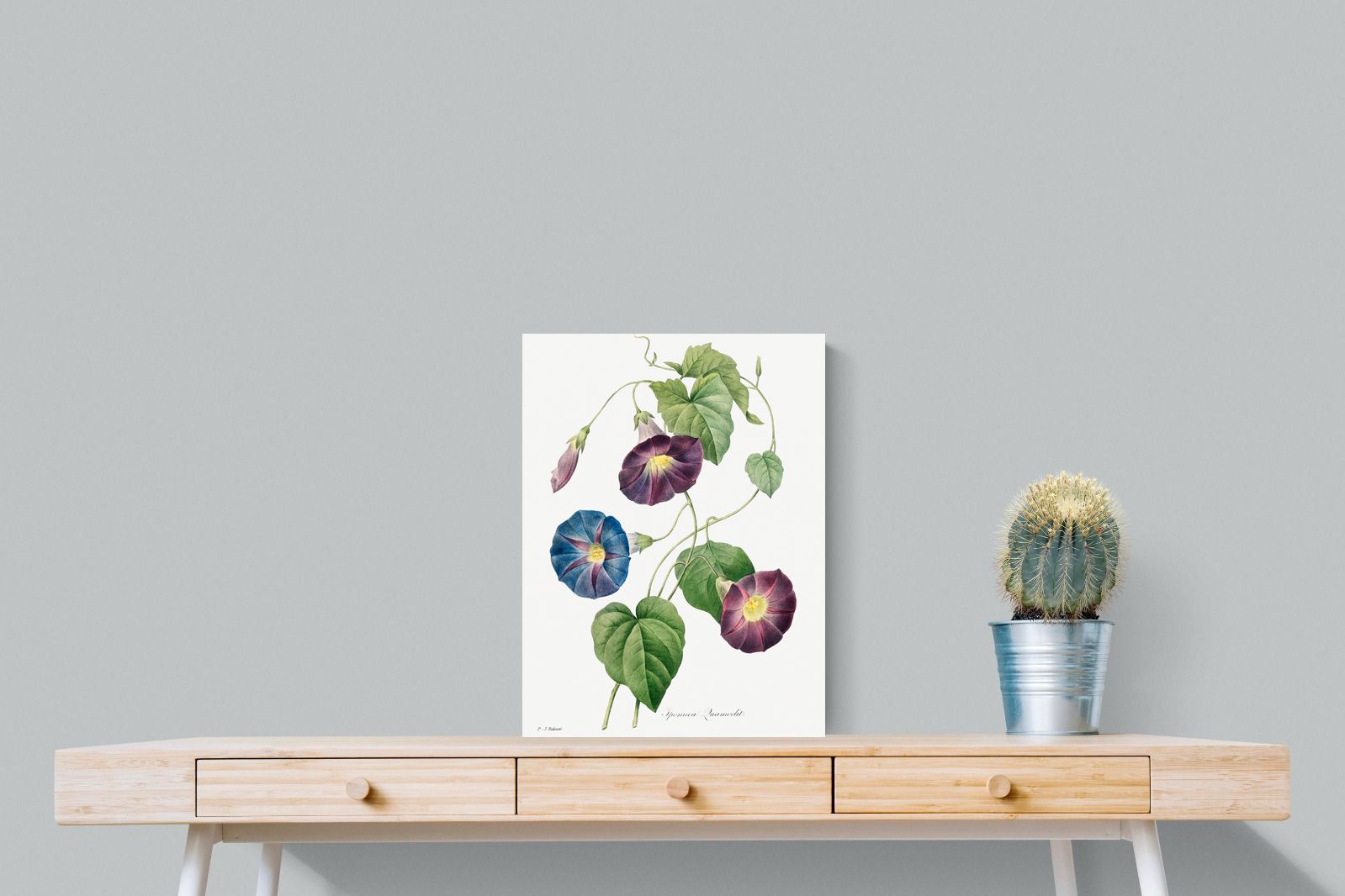 Pixalot Morning Glory Study