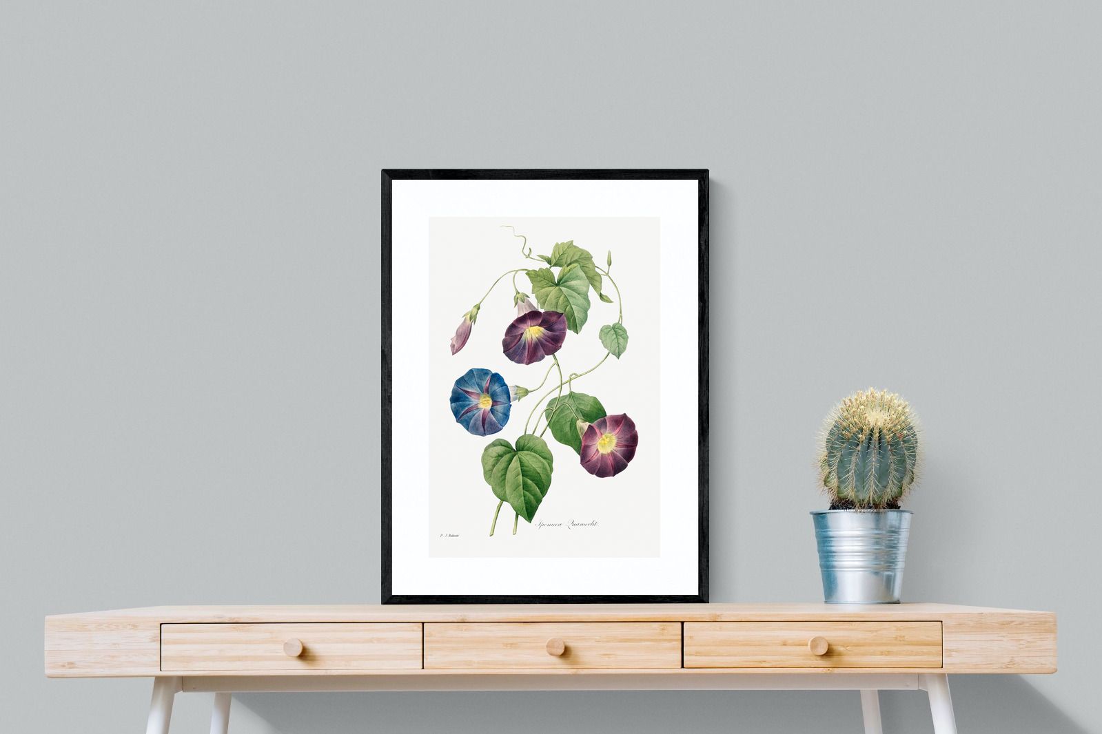 Pixalot Morning Glory Study