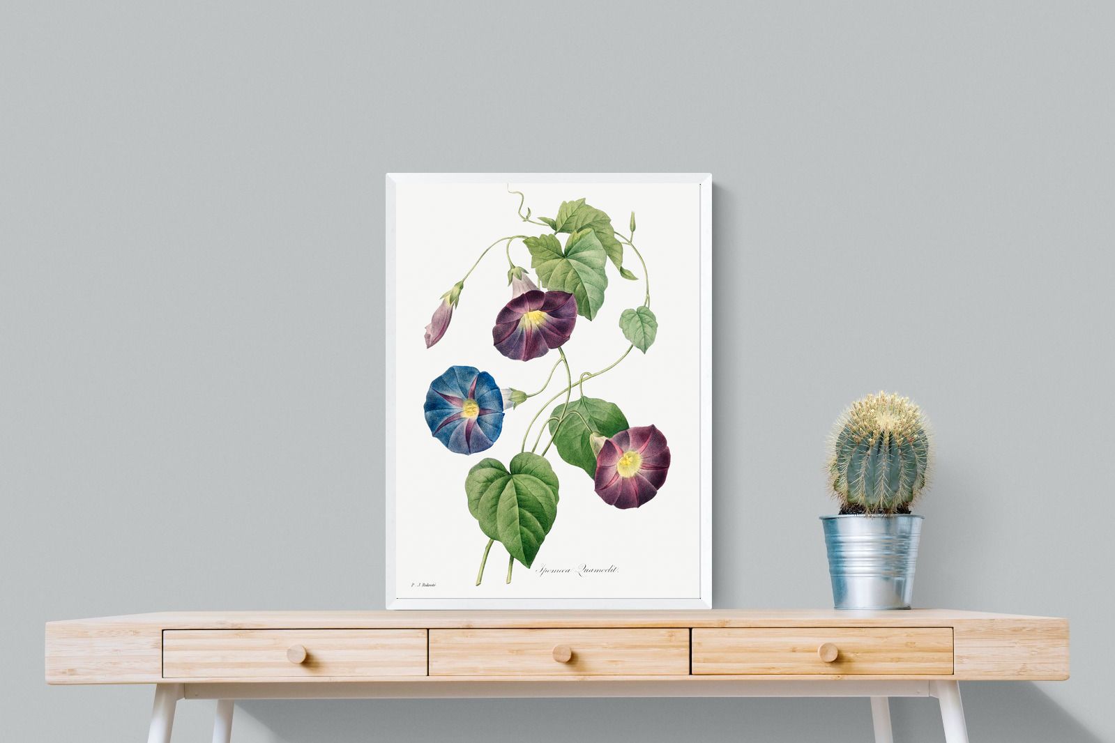 Pixalot Morning Glory Study