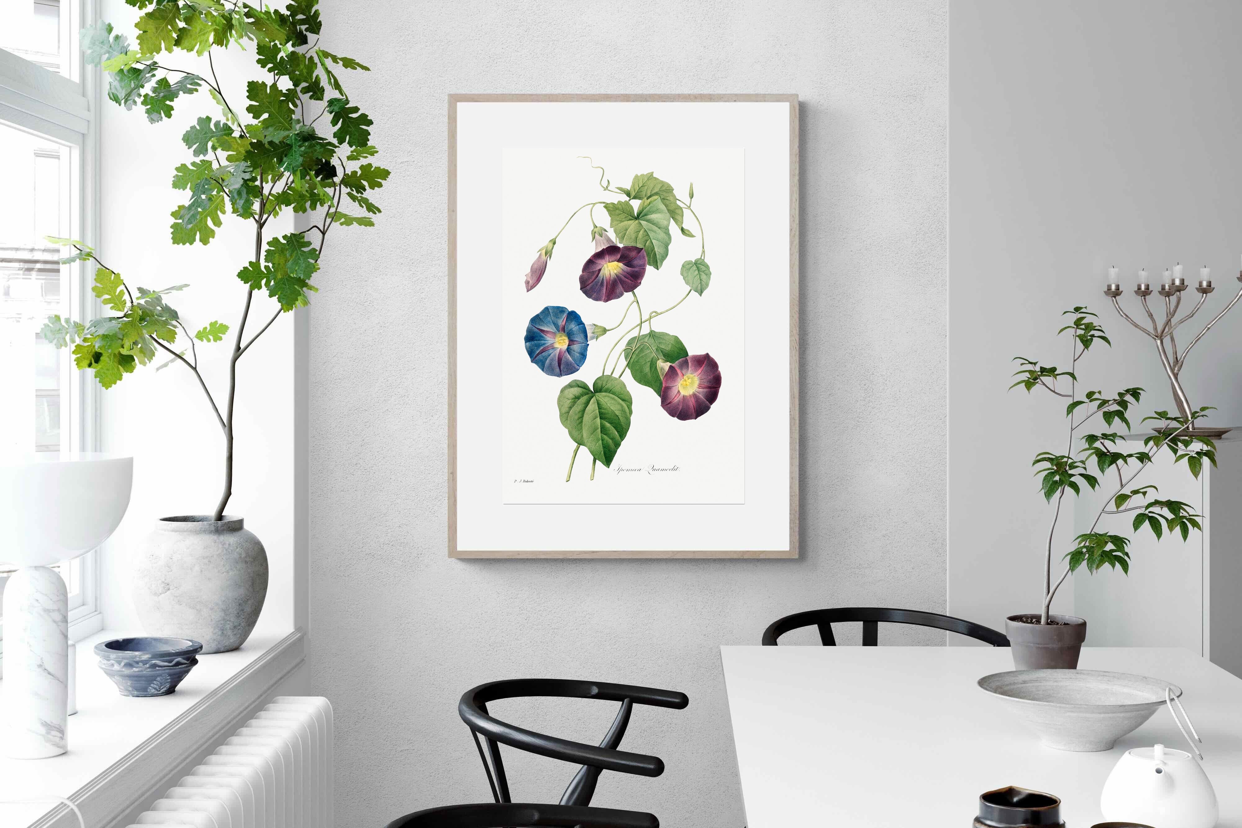 Pixalot Morning Glory Study